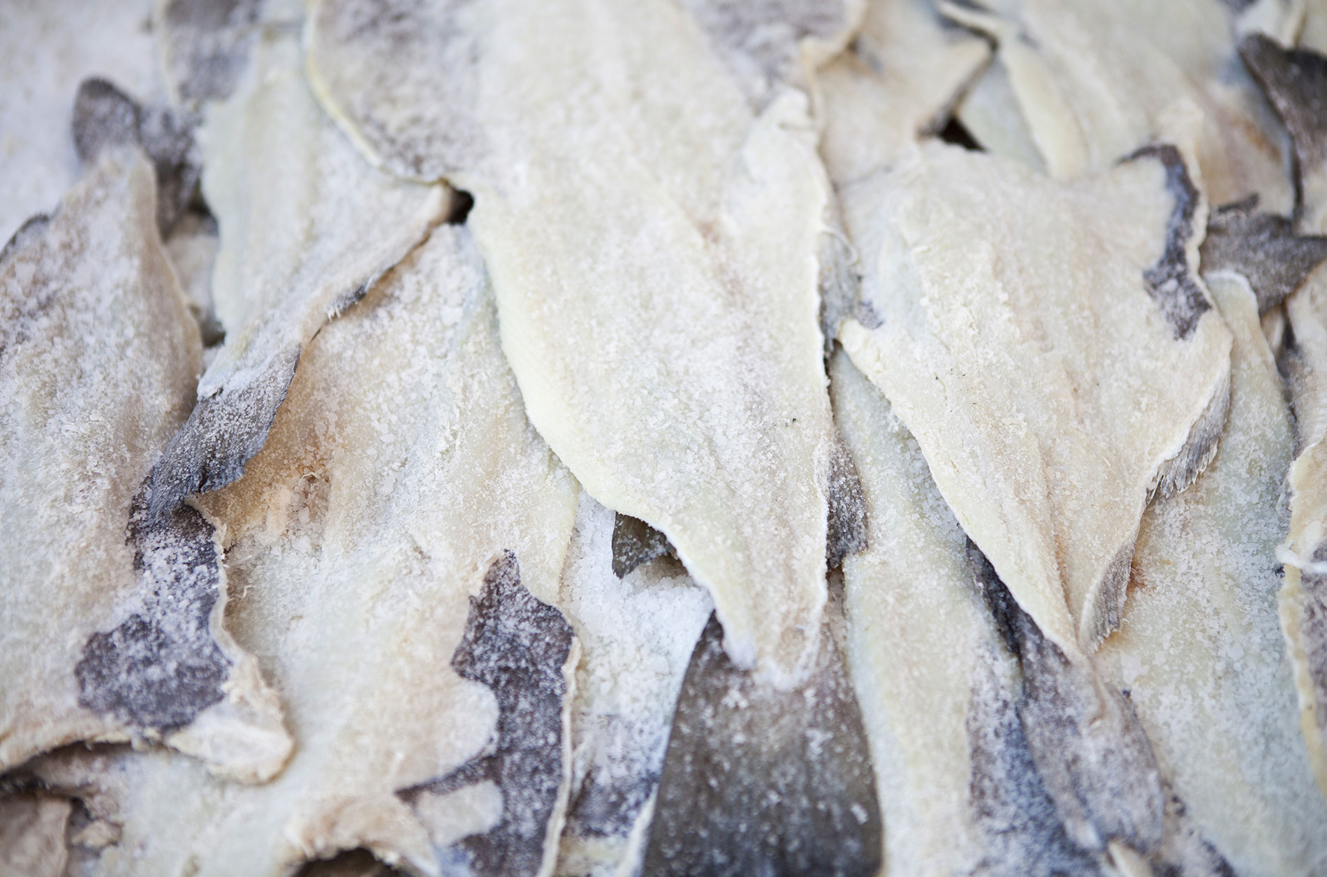 bacalhau e congelados